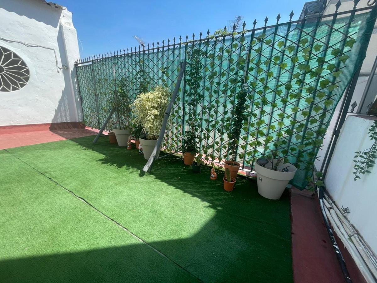 Апартаменты Atico Guadalquivir - Touristic Loft With Terrace Севилья Номер фото